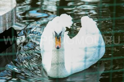 IMG_0640~0.JPG