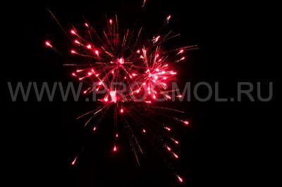 IMG_0659.JPG
