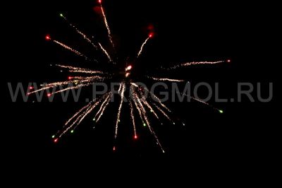 IMG_0660~0.JPG