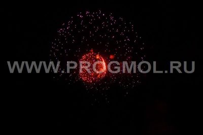 IMG_1607.jpg