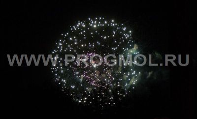 IMG_1628.jpg