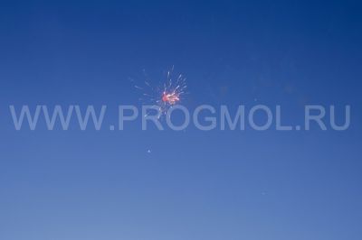 IMG_2218.jpg