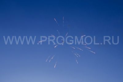 IMG_2226.jpg