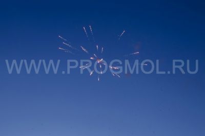 IMG_2233.jpg