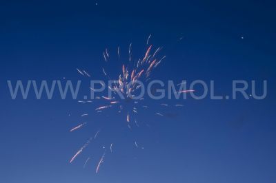 IMG_2251.jpg