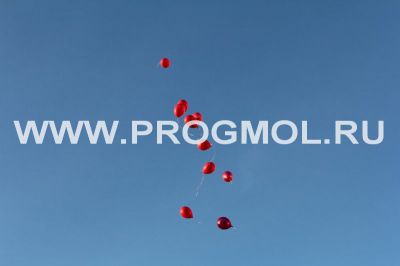 IMG_3941.jpg