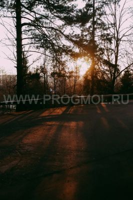 IMG_6631.jpg