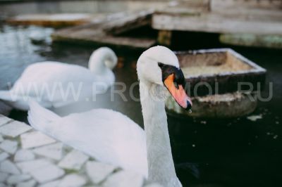 IMG_8418.jpg