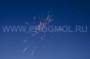 IMG_2251.jpg